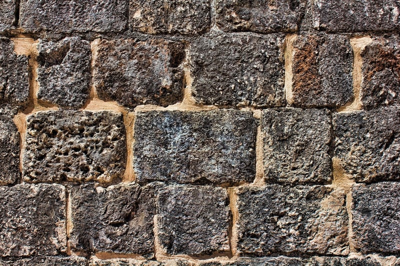 Vertical Garden Wall